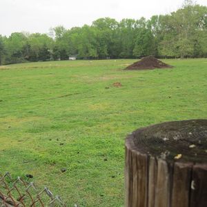 Meet your Posher, Lynn